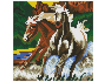 Набор для творчества, Алмазная мозаика Две лошади (класс.) 20*20см, (18цв.) AC20016