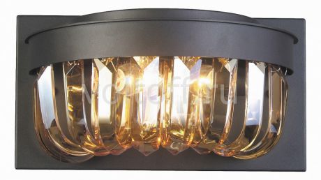 Накладной светильник Favourite Amber 1657-2W