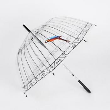 Зонт "Райская птица"