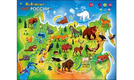 Звуковой плакат, Животный мир России ЗП-1560