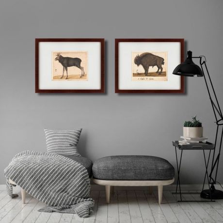 Картина Картины В Квартиру Коллекция The Moose and Bison (из 2 х картин), Бумага