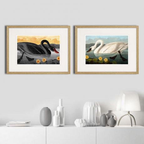 Картина Картины В Квартиру Коллекция The swans, pair in love (из 2-х картин), Бумага