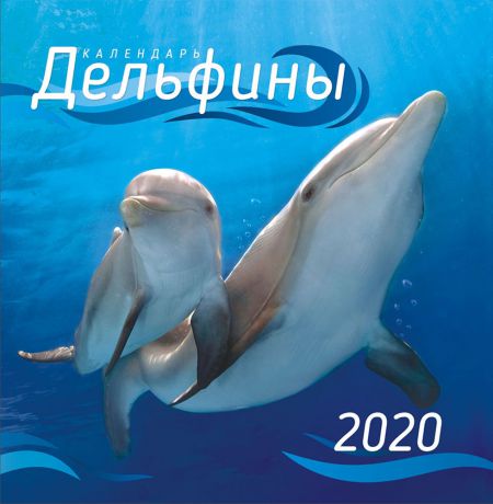 Календарь перекидной средний на скрепке на 2020 год, Дельфины ПК-20-050