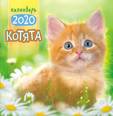 Календарь перекидной средний на скрепке на 2020 год, Кошки ПК-20-034