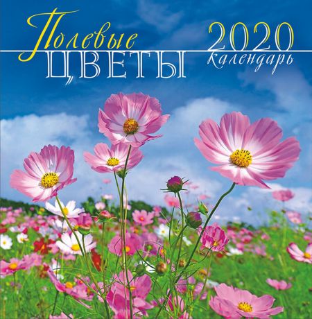 Календарь перекидной средний на скрепке на 2020 год, Полевые цветы ПК-20-030