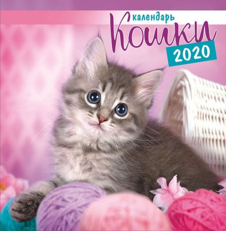 Календарь перекидной средний на скрепке на 2020 год, Кошки ПК-20-035