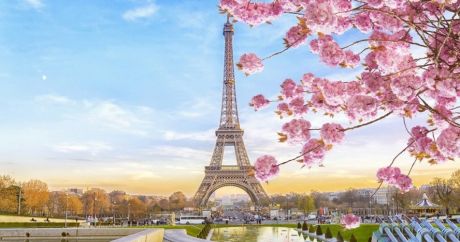 Набор для творчества ТМ Цветной Алмазная мозаика Цветущий Париж