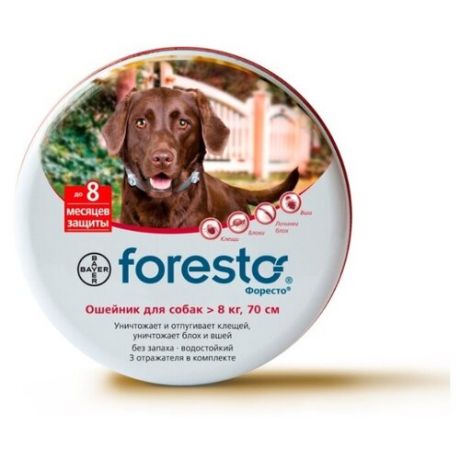 Форесто Bayer ошейник от блох и