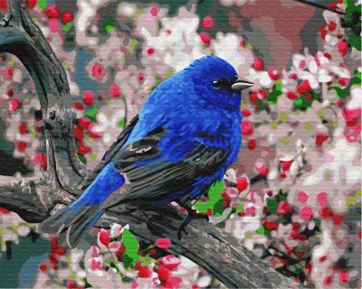 Набор для рисования по номерам Цветной gx23193 "Синяя птица"