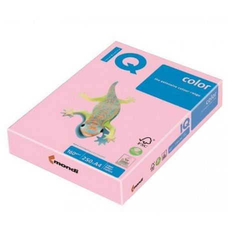 Бумага A4 250 шт. IQ color PI25