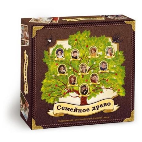 Настольная игра Правильные игры Семейное Древо