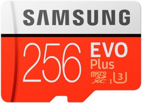 Samsung microSD EVO Plus 256Gb MB-MC256HA/RU