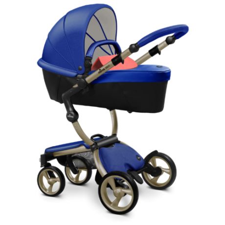 Коляска-трансформер Mima Xari (2 в 1) royal blue/coral red/champagne frame, цвет шасси: золотистый