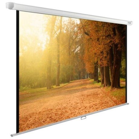 Рулонный матовый белый экран cactus WallExpert CS-PSWE-200x125-WT