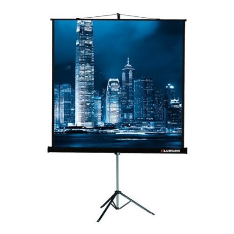 Рулонный матовый белый экран Lumien Master View LMV-100109