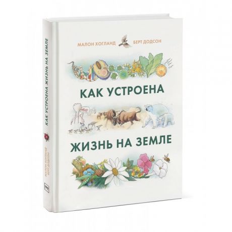 Энциклопедии Миф Книга Как устроена жизнь на Земле