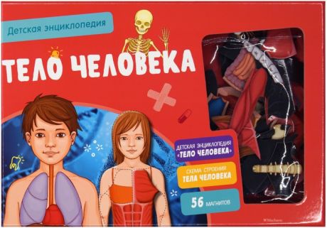Энциклопедии Махаон Детская энциклопедия Тело человека