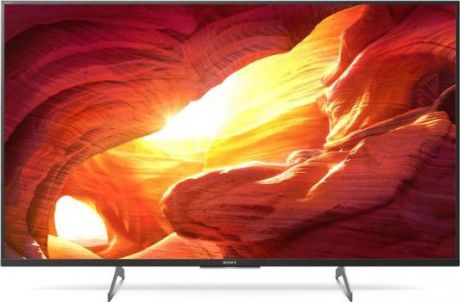 Телевизор SONY KD49XH8596BR черный