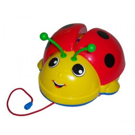 Каталки-игрушки Molto на веревочке Божья коровка 09376