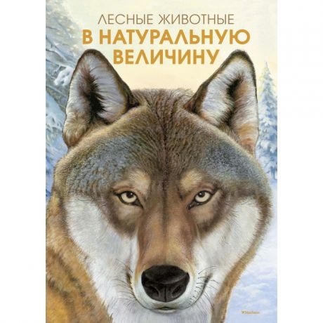Обучающие книги Махаон Книга Лесные жители в натуральную величину