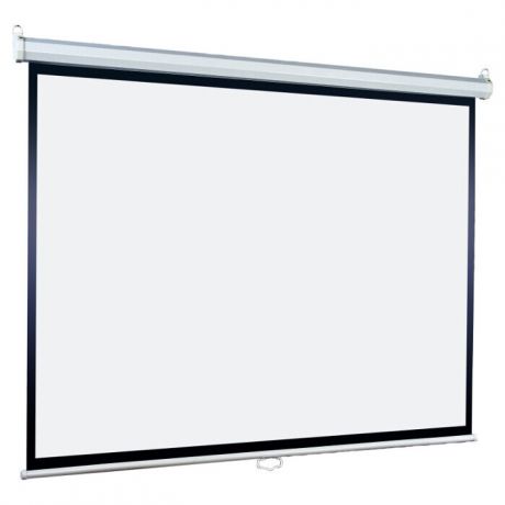 Экран для проектора Lumien Eco Picture LEP-100109 (203x203 / 11 / настенно-потолочный / matte white)