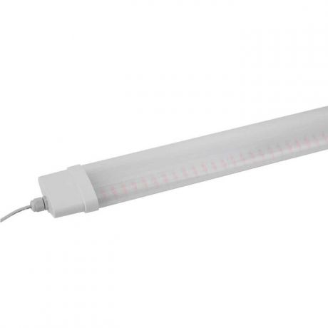 Светильник ЭРА Настенный светодиодный Prom Fito-36W-RB-N Б0045697