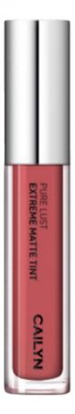 Матовый тинт для губ Pure Lust Extreme Matte Tint 3,5мл: 02 Romanticist