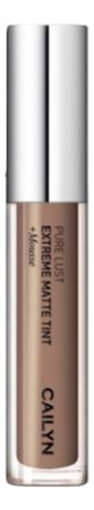 Матовый тинт для губ Pure Lust Extreme Matte Tint + Mousse 3,5мл: 63 Virtuosity