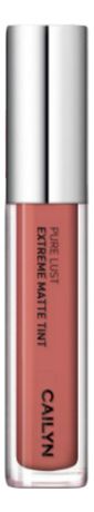 Матовый тинт для губ Pure Lust Extreme Matte Tint 3,5мл: 09 Nudist