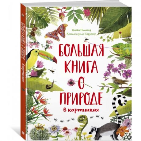 Раннее развитие Махаон Большая книга о природе в картинках