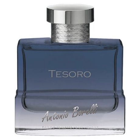 Туалетная вода Christine Lavoisier Parfums Antonio Borelli Tesoro, 100 мл