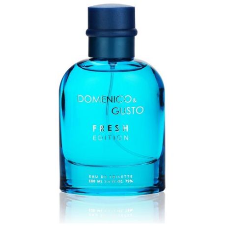 Туалетная вода мужская Domenico&Gusto Fresh Edition, 100 мл