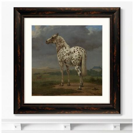 Репродукция картины в раме The Piebald Horse, 1654г. Размер картины: 60,5х60,5см