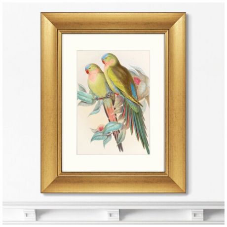 Репродукция картины в раме Love parrots, 1850г. Размер картины: 40,5х50,5см