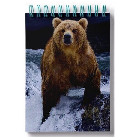 Блокнот для зарисовок, скетчбук Медведь на водопаде