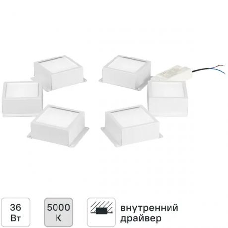 Светодиодная панель Эра SPO-646-3-5K-W6 36 Вт 310x120 мм 5000К IP40