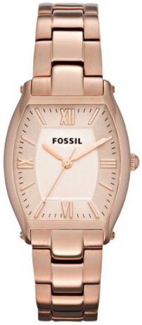 Fossil Fossil ES3120