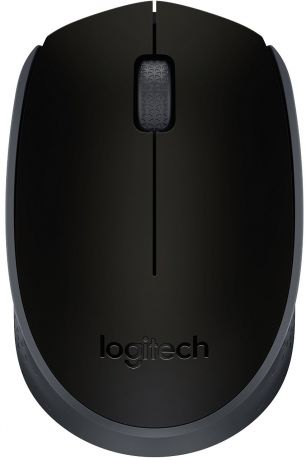 Logitech Wireless Mouse M171 (910-004424) - беспроводная мышь (Black)