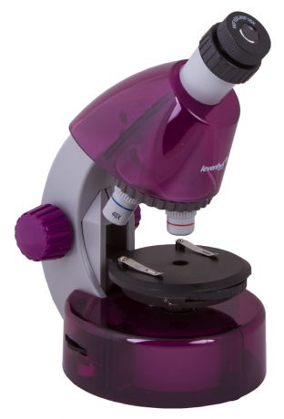Микроскоп Levenhuk (Левенгук) LabZZ M101 AmethystАметист