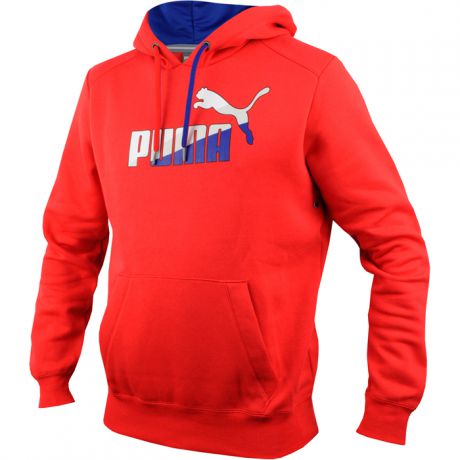 Puma Puma FUNDAMENTALS GRAPHIC SWEAT HOODY