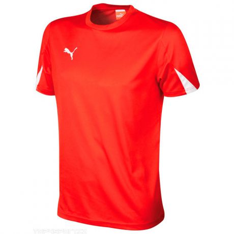 Puma Puma TEAM SS SHIRT