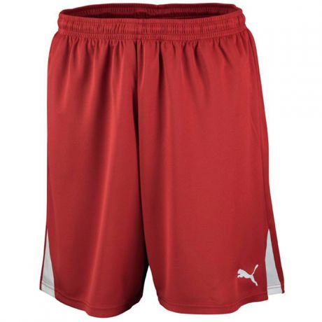 Puma Puma TEAM WIB SHORTS