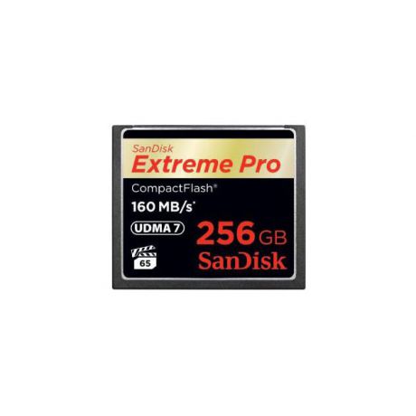 Sandisk Sandisk SDCFXPS-256G-X46 CompactFlash, 256Гб, без класса