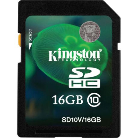 Kingston Kingston 16GB SDHC Class 10 Flash Card SDHC, 16Гб, Class 10