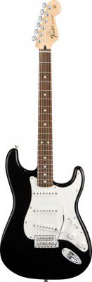 Fender Standard Stratocaster Rw Black Tint