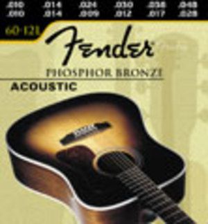 Fender 60-12l
