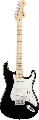 Fender Standard Stratocaster Mn Black Tint