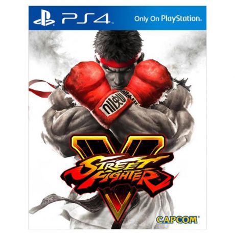 Street Fighter V Sony PlayStation 4, единоборства