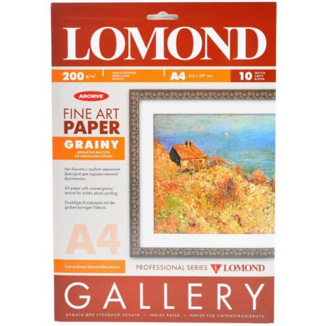 Lomond LOMOND, 290г/м2, А4/10л.