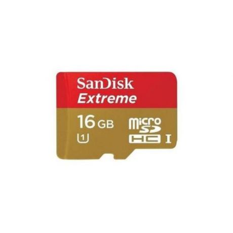 Sandisk Sandisk SDSDQXN-016G-G46A microSDHC, 16Гб, Class 10